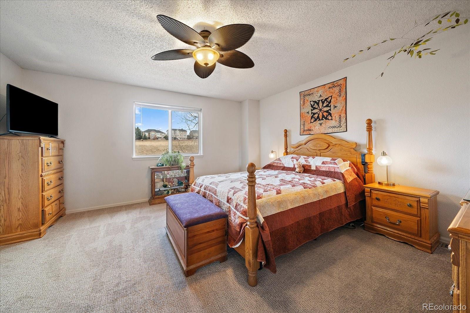 MLS Image #13 for 700  mango drive,castle rock, Colorado