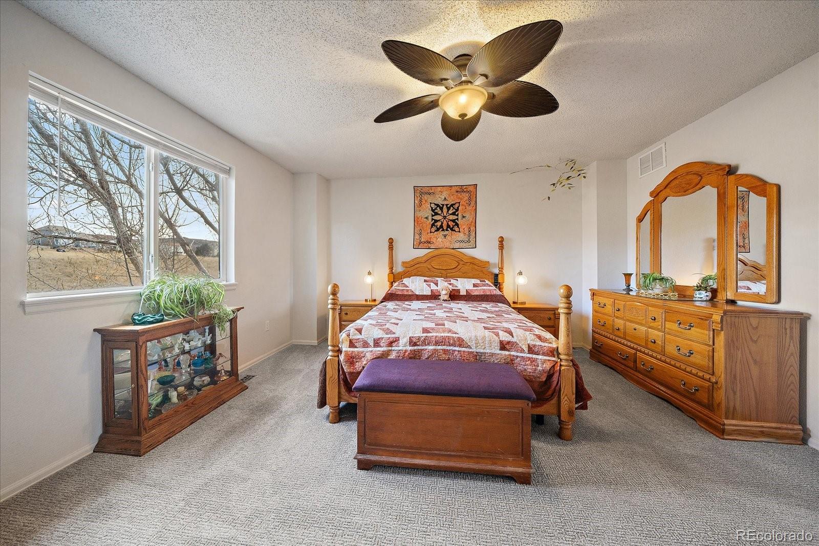 MLS Image #14 for 700  mango drive,castle rock, Colorado