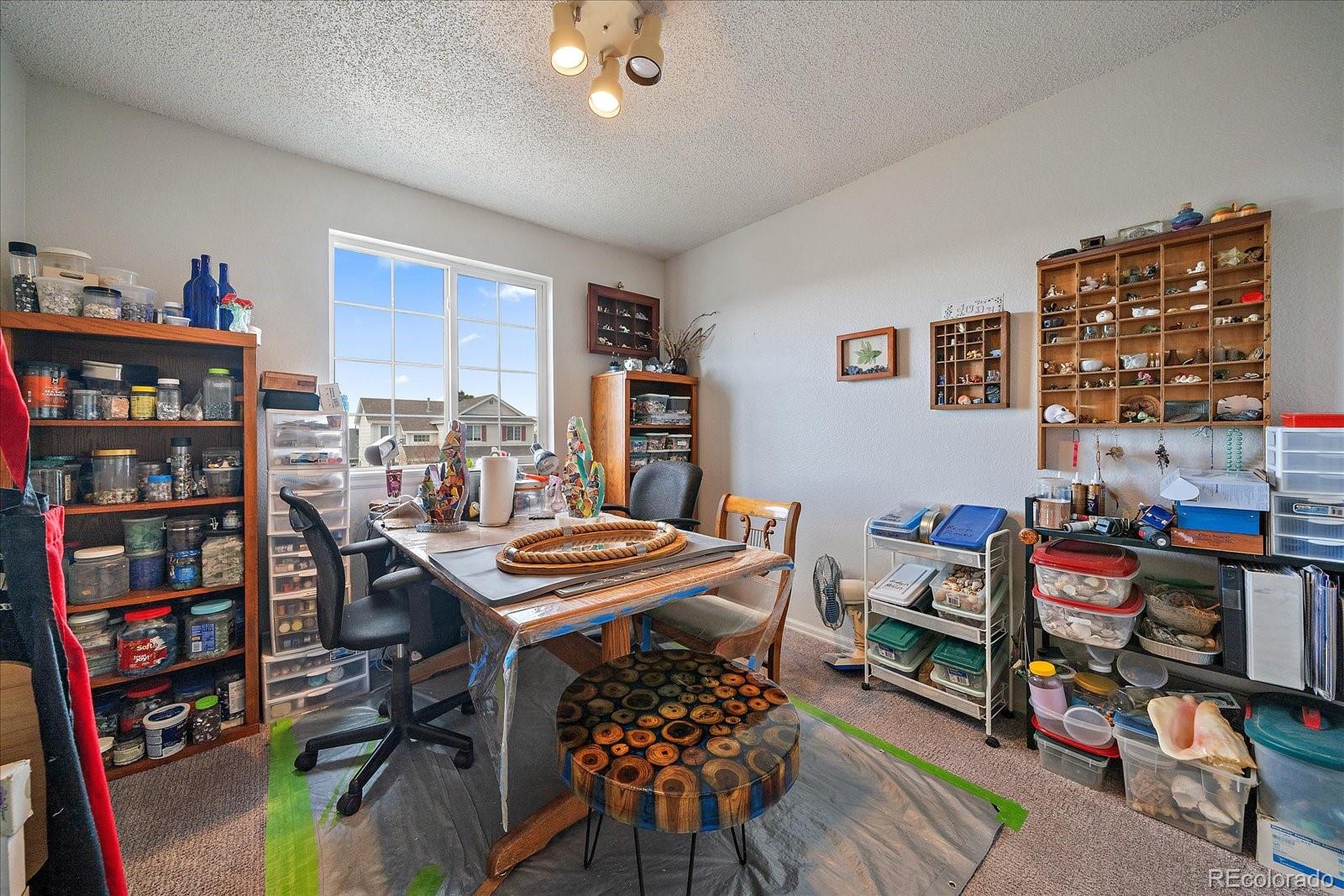 MLS Image #18 for 700  mango drive,castle rock, Colorado