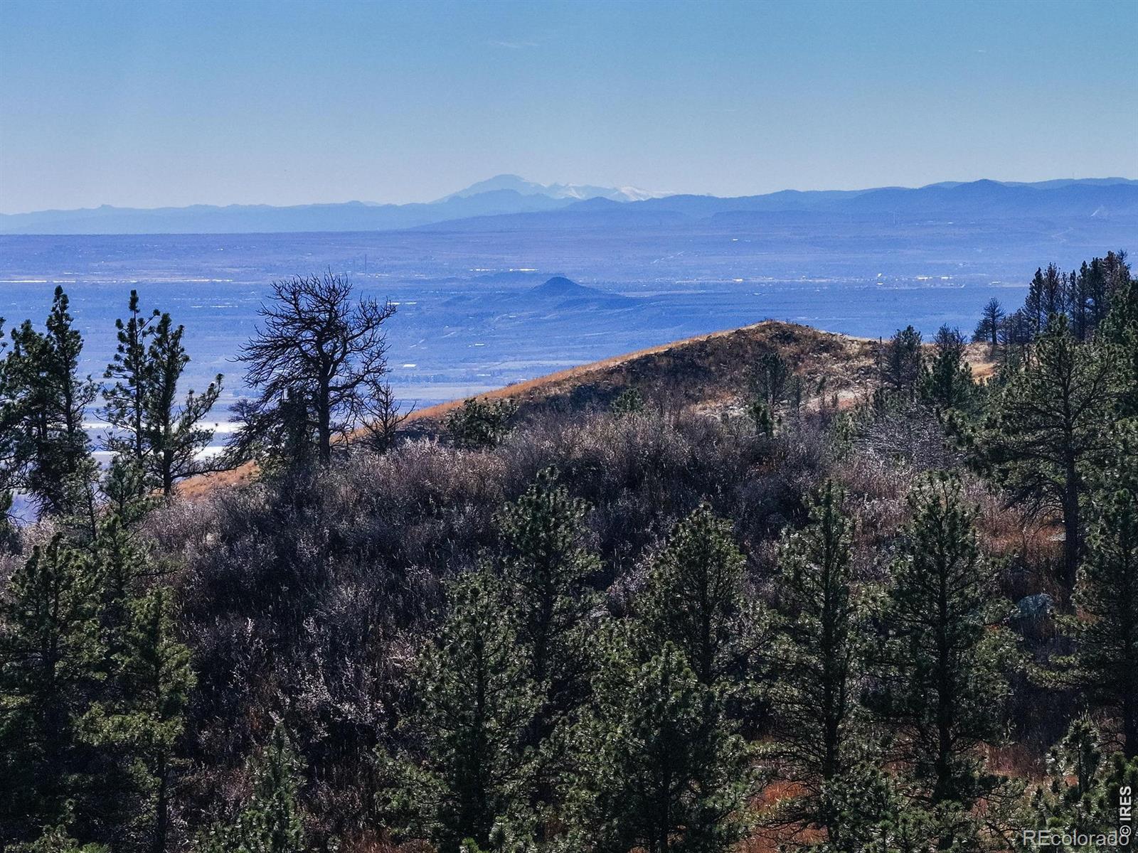 MLS Image #10 for 15655  mossrock drive,longmont, Colorado