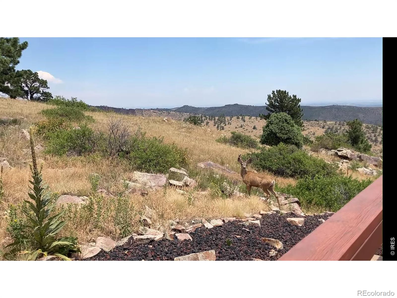 MLS Image #13 for 15655  mossrock drive,longmont, Colorado