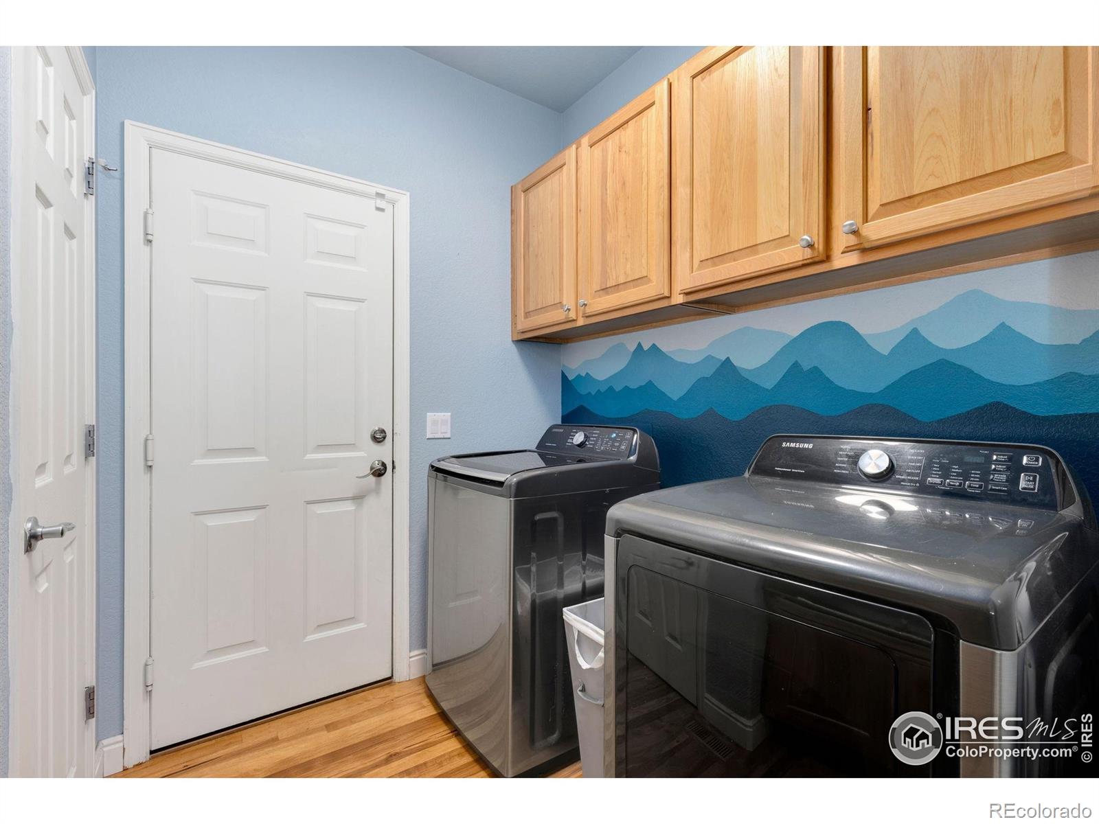 MLS Image #12 for 1842  wood duck drive,johnstown, Colorado