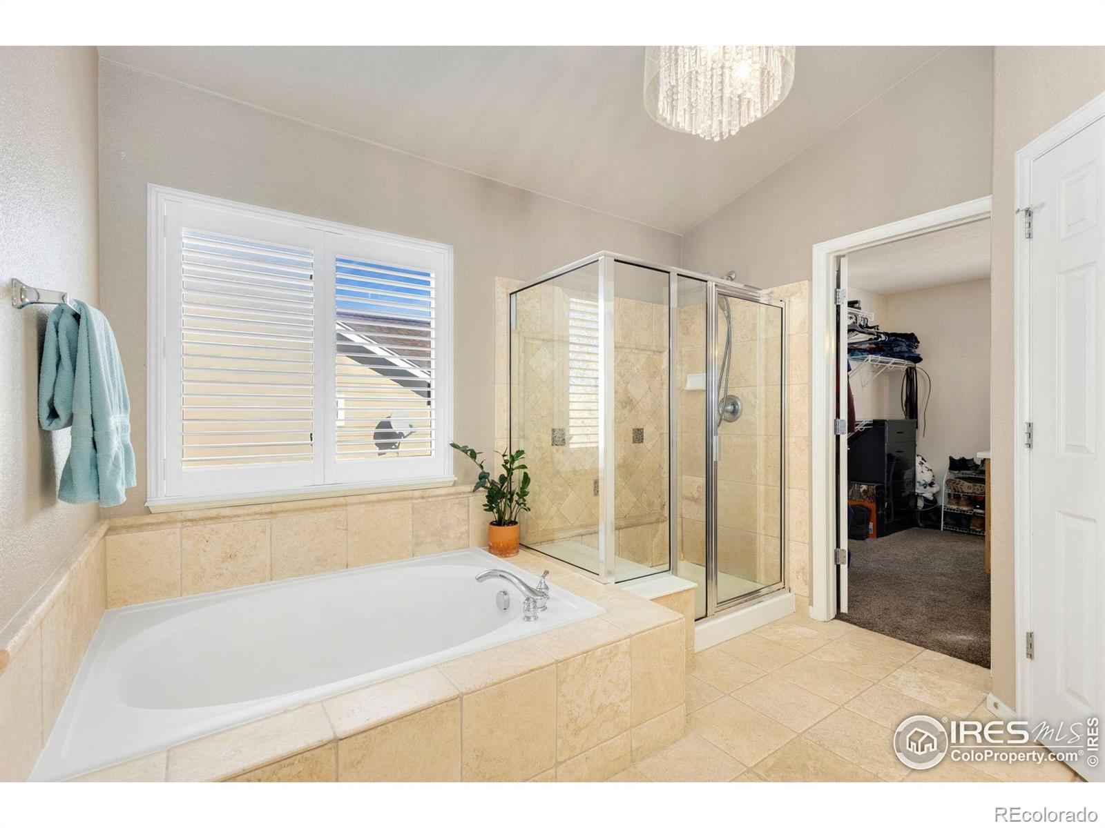 MLS Image #15 for 1842  wood duck drive,johnstown, Colorado