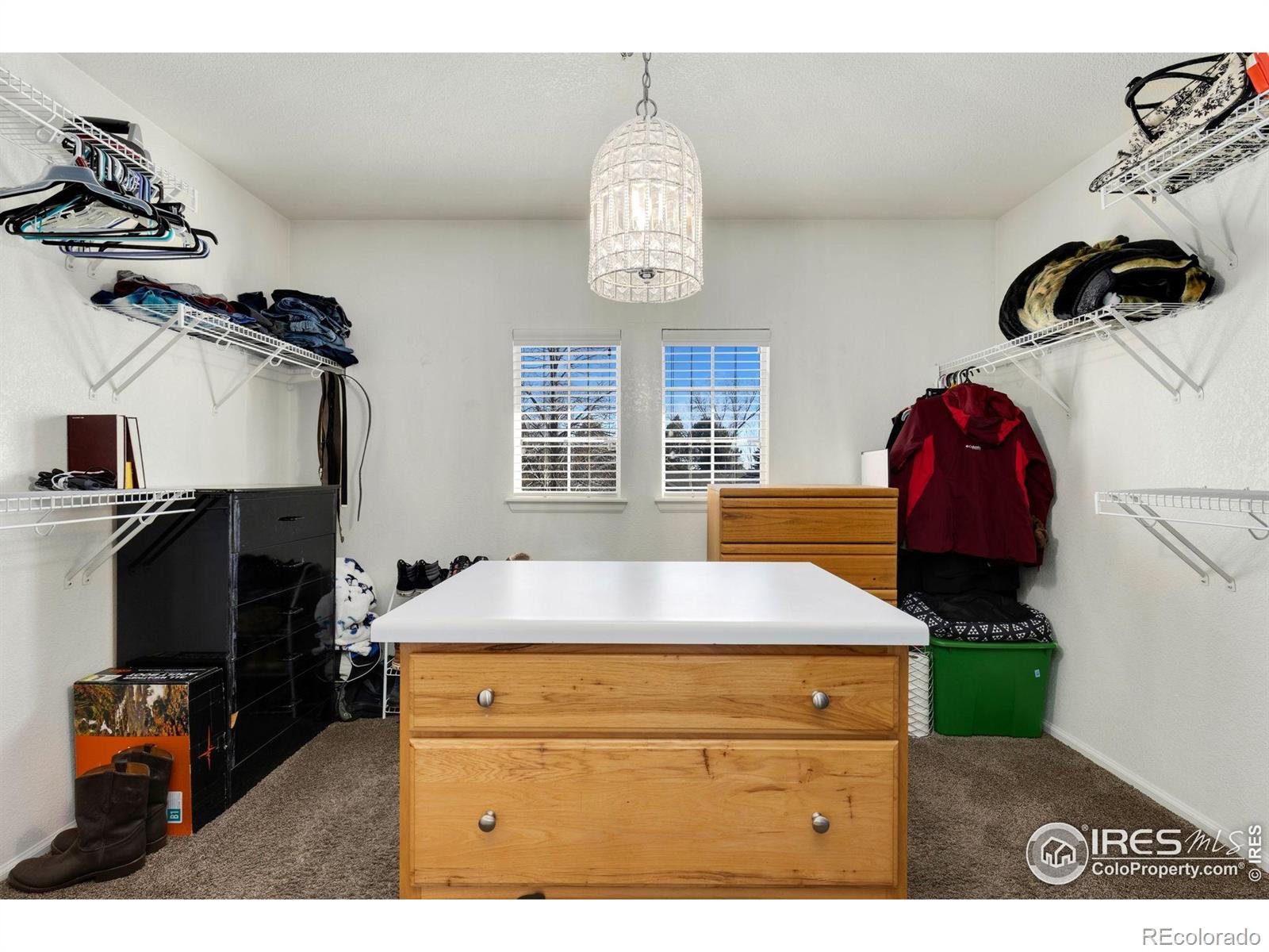MLS Image #16 for 1842  wood duck drive,johnstown, Colorado