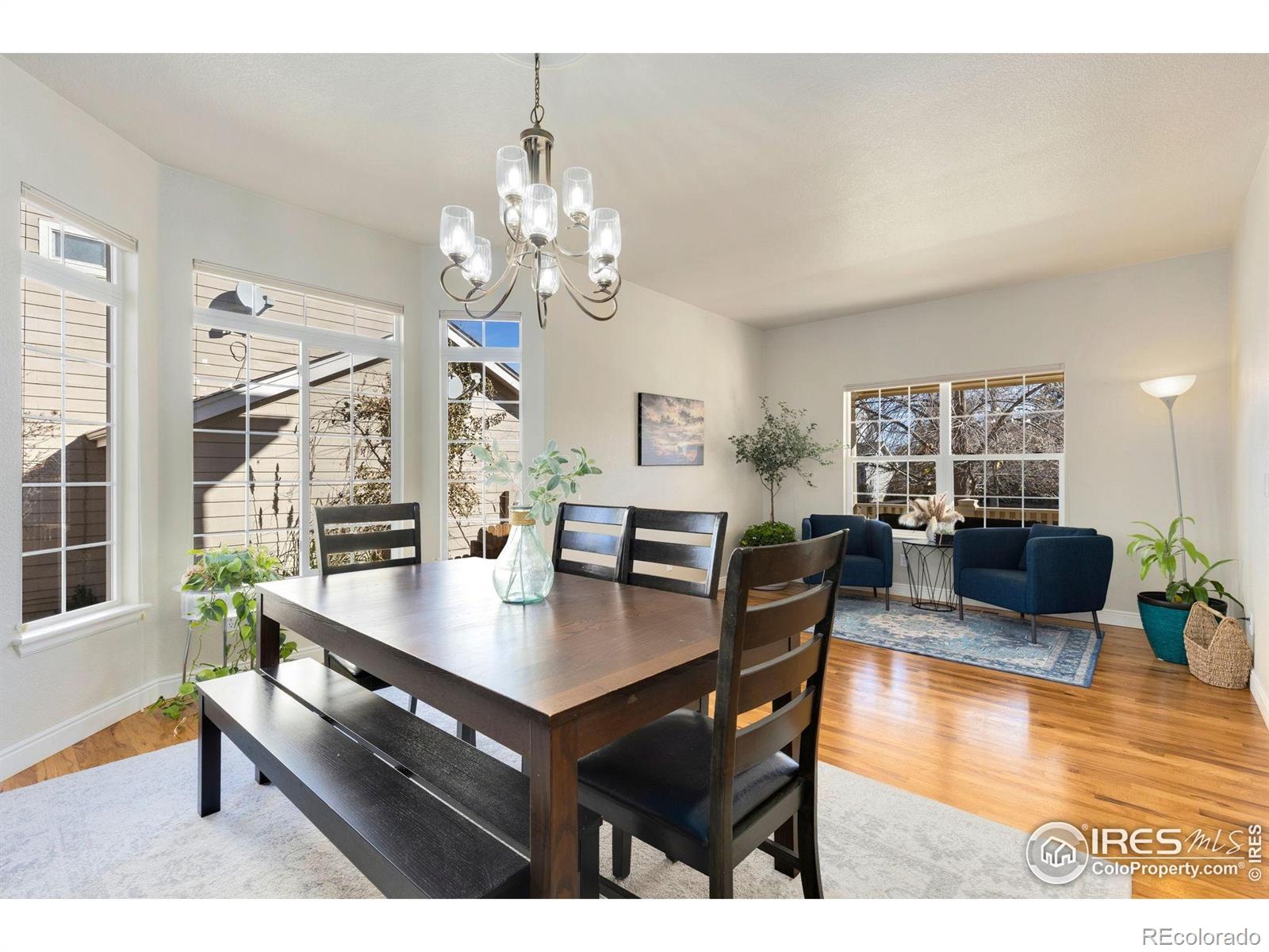 MLS Image #3 for 1842  wood duck drive,johnstown, Colorado