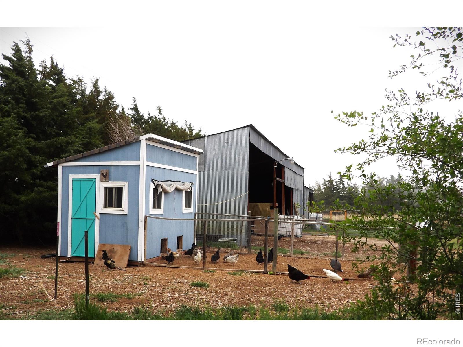 MLS Image #21 for 9021  county road u.5 ,weldona, Colorado