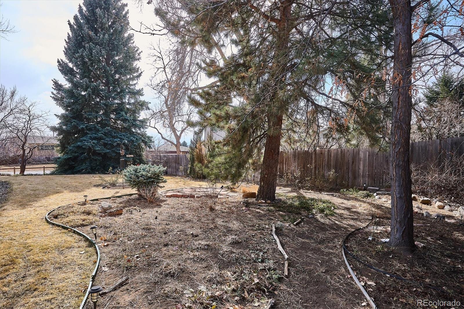 MLS Image #27 for 2449 s holland court,lakewood, Colorado