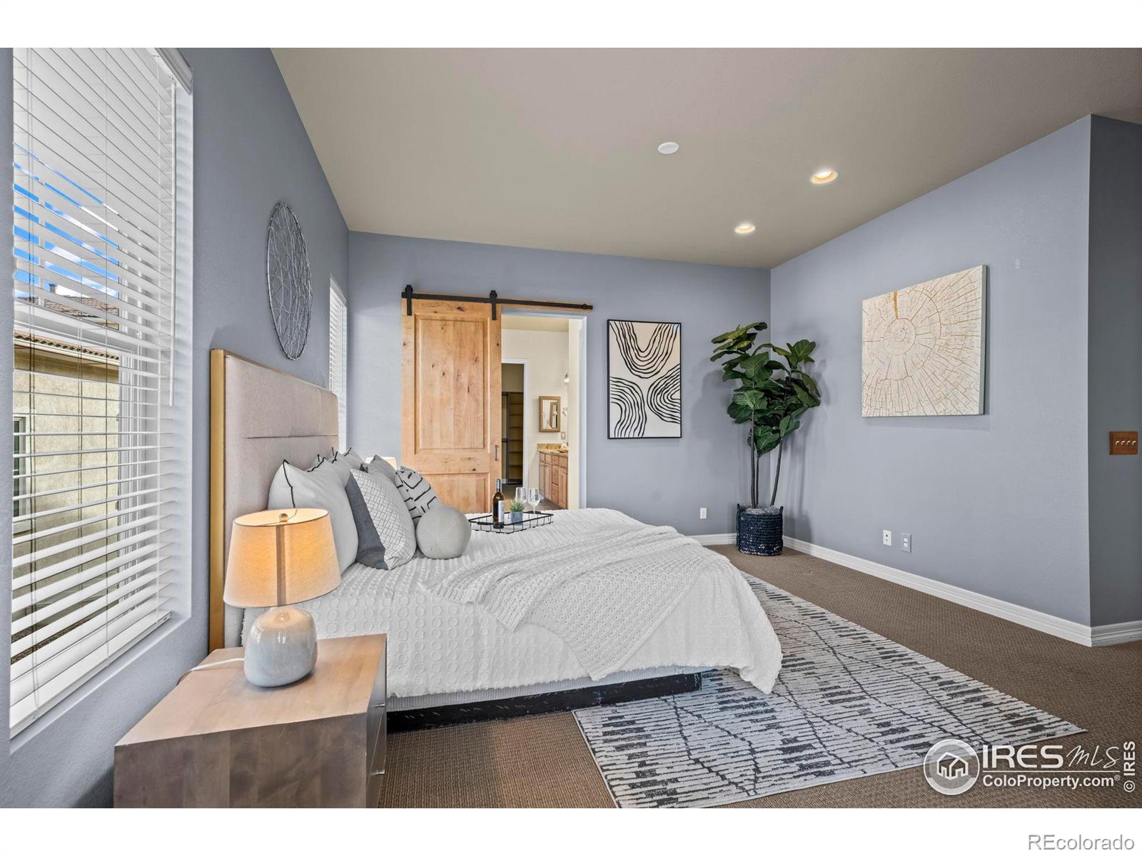 MLS Image #22 for 2446  reserve street,erie, Colorado