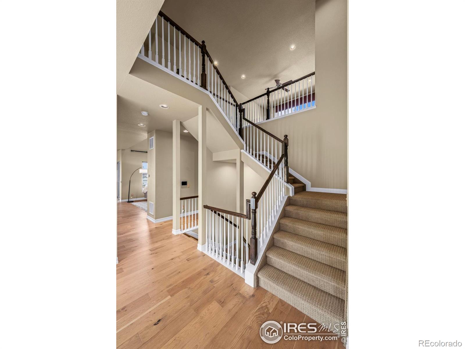 MLS Image #29 for 2446  reserve street,erie, Colorado