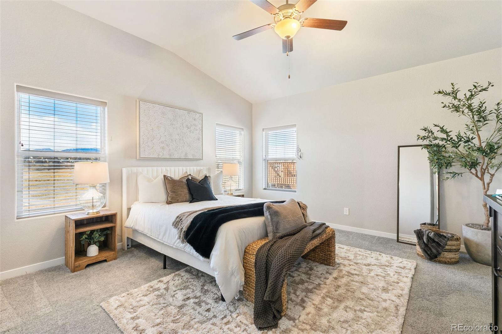 MLS Image #9 for 6904  bigtooth maple drive,colorado springs, Colorado