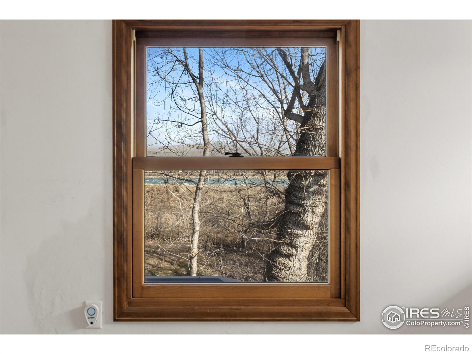 MLS Image #5 for 6397  lake drive,longmont, Colorado