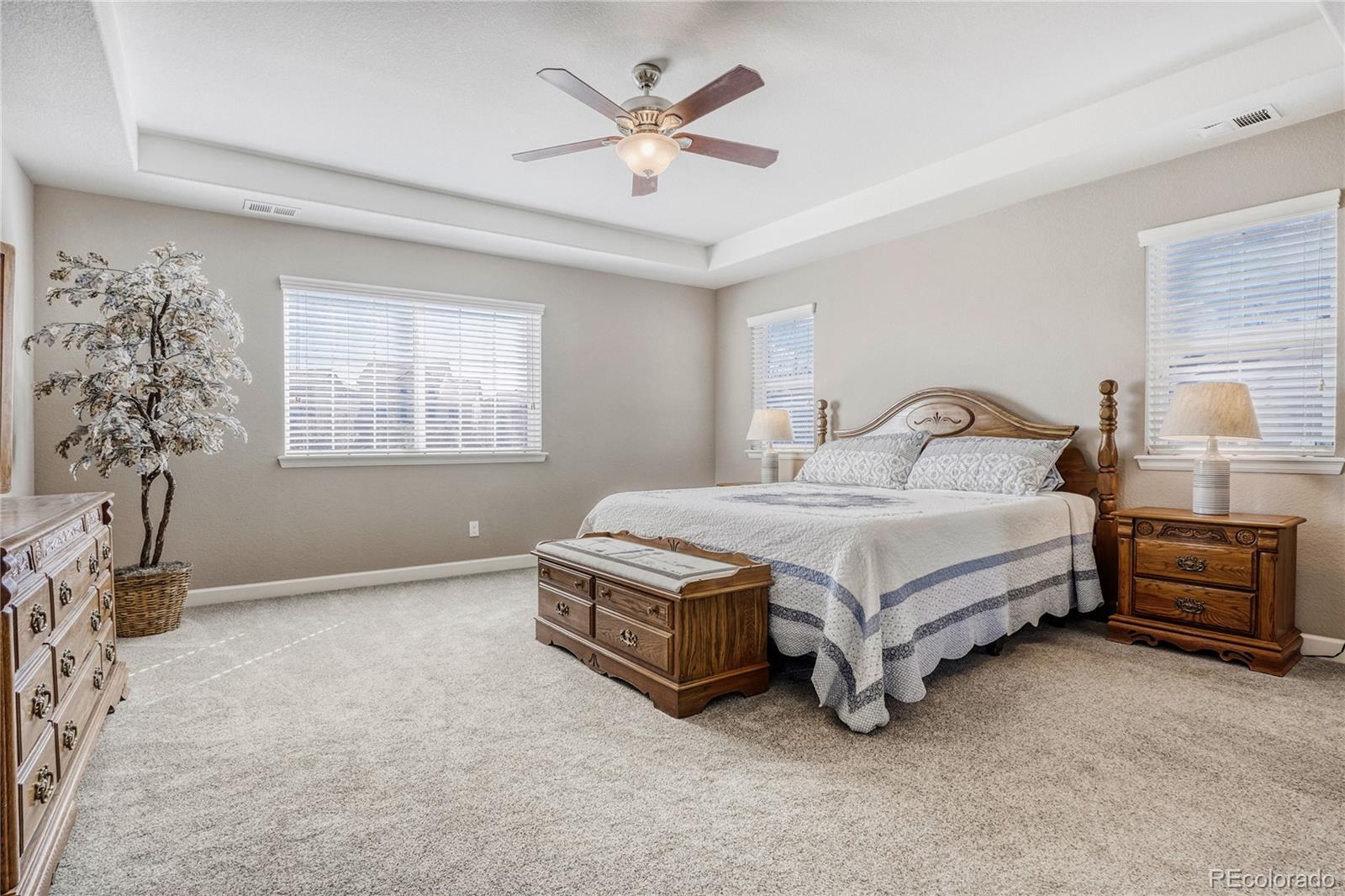 MLS Image #15 for 13864  wickfield place,parker, Colorado
