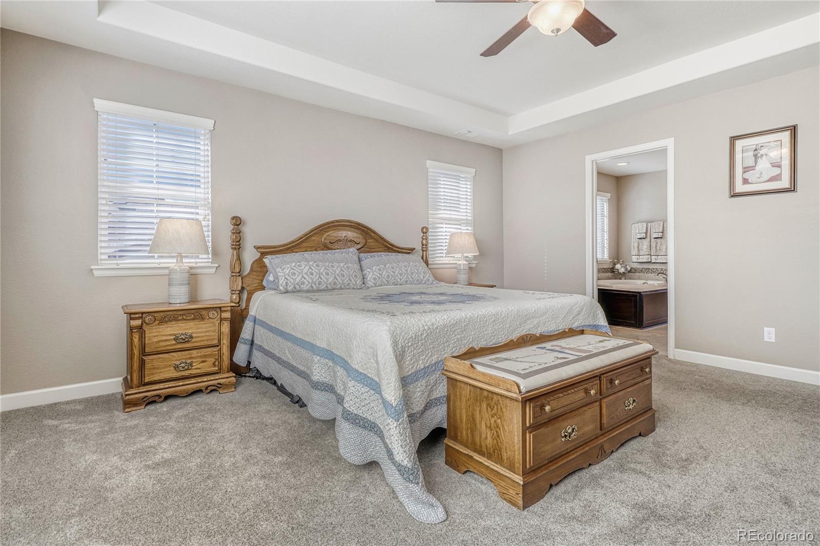 MLS Image #17 for 13864  wickfield place,parker, Colorado