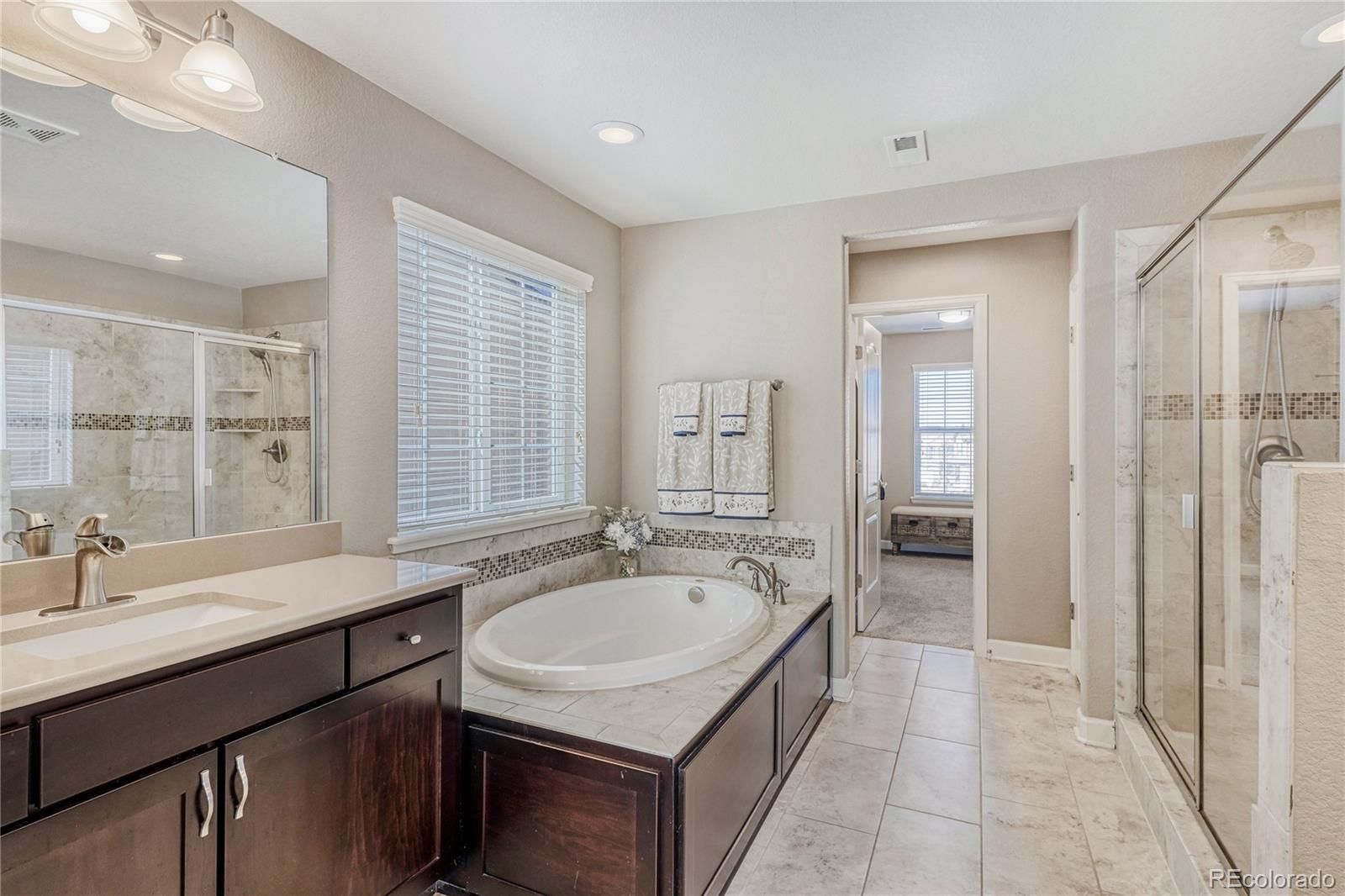 MLS Image #18 for 13864  wickfield place,parker, Colorado