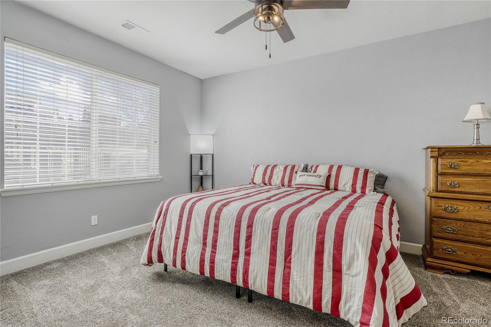 MLS Image #24 for 13864  wickfield place,parker, Colorado