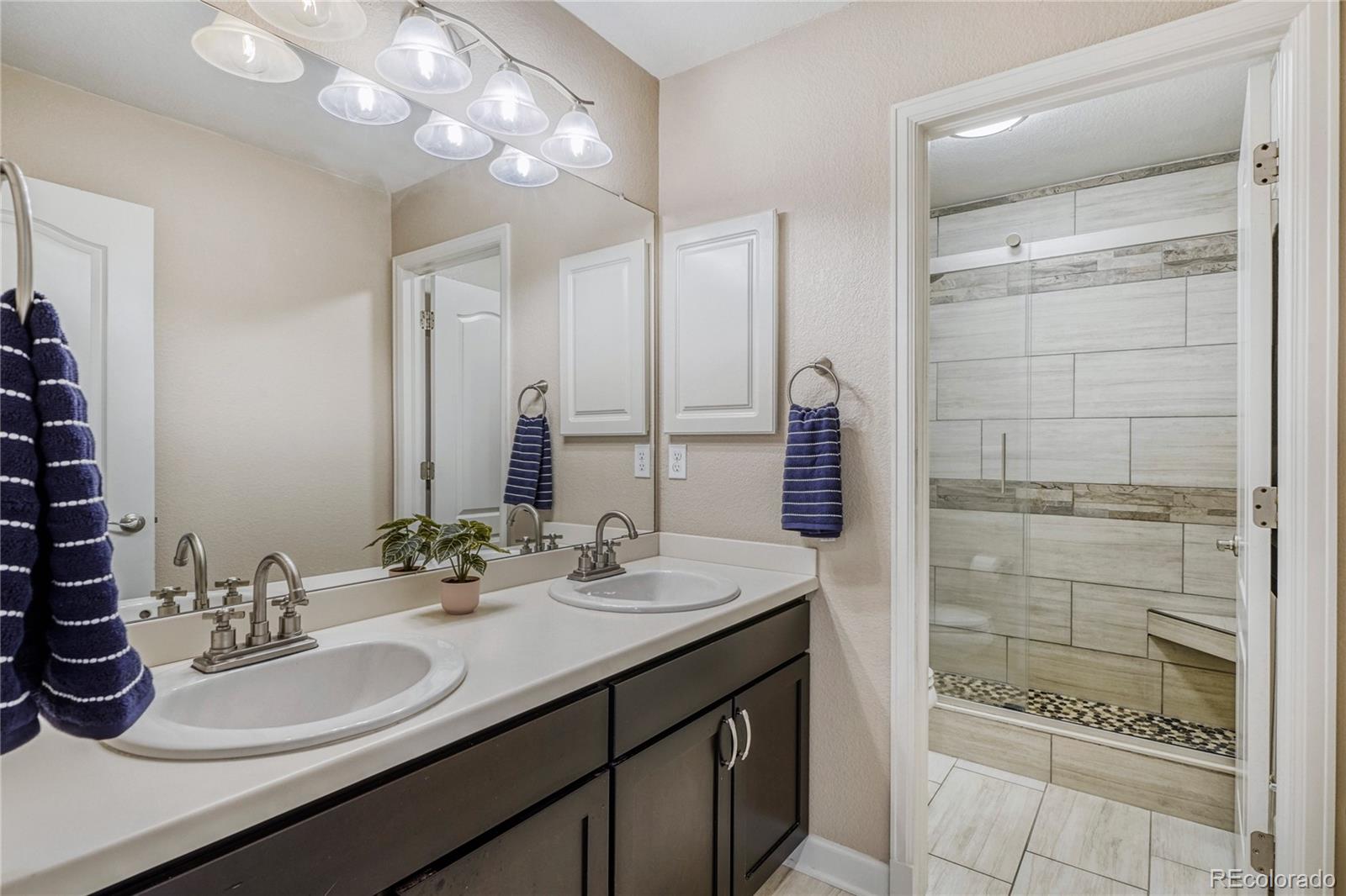 MLS Image #25 for 13864  wickfield place,parker, Colorado