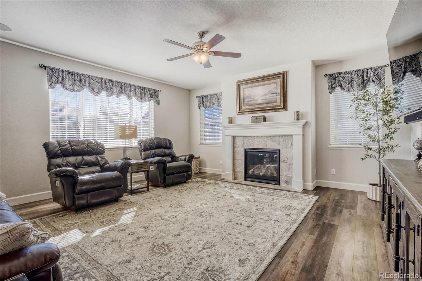 MLS Image #4 for 13864  wickfield place,parker, Colorado