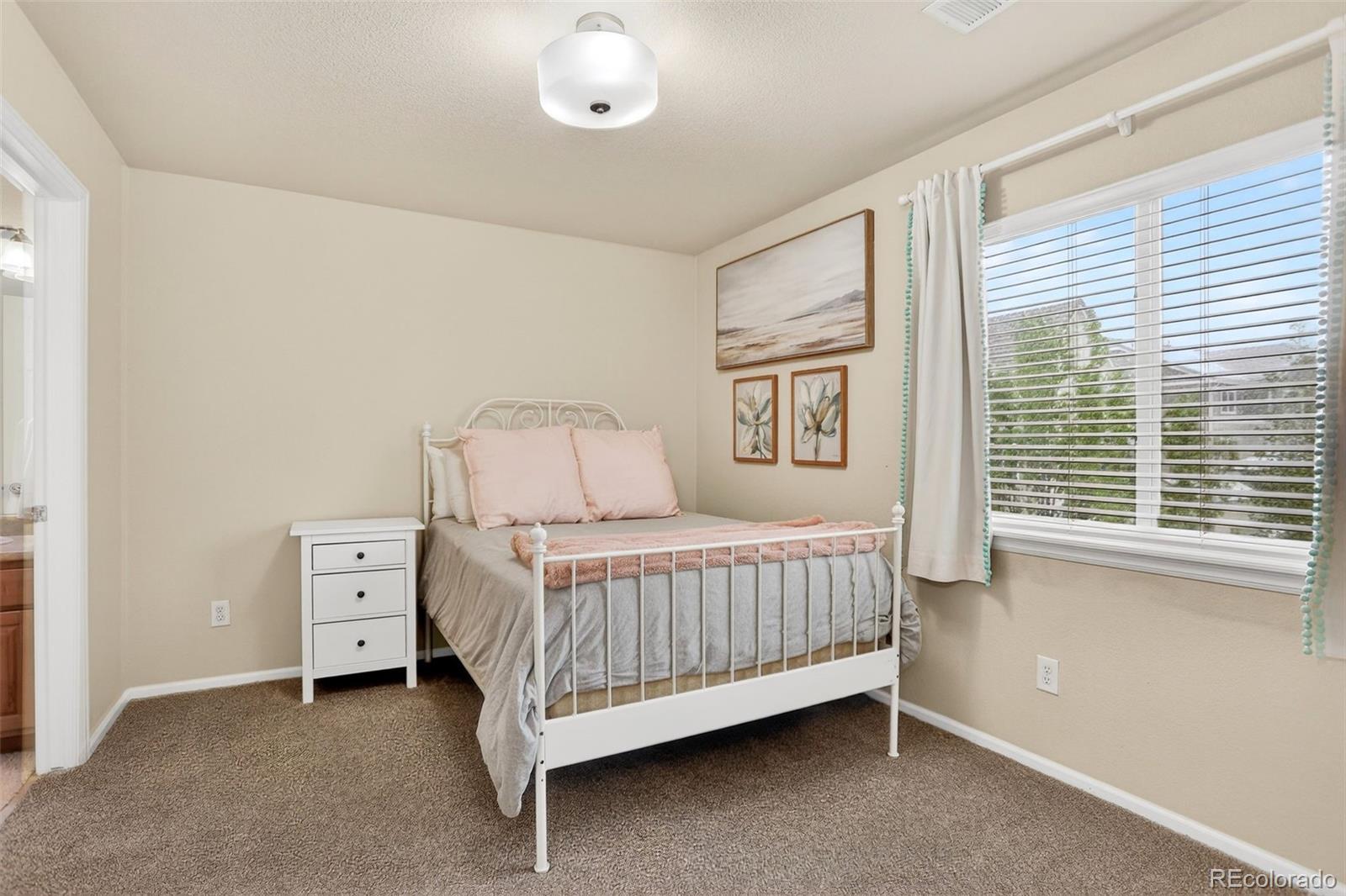MLS Image #31 for 12231 s grass river trail,parker, Colorado