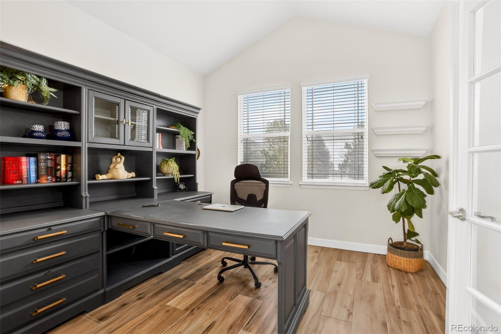 MLS Image #4 for 12231 s grass river trail,parker, Colorado