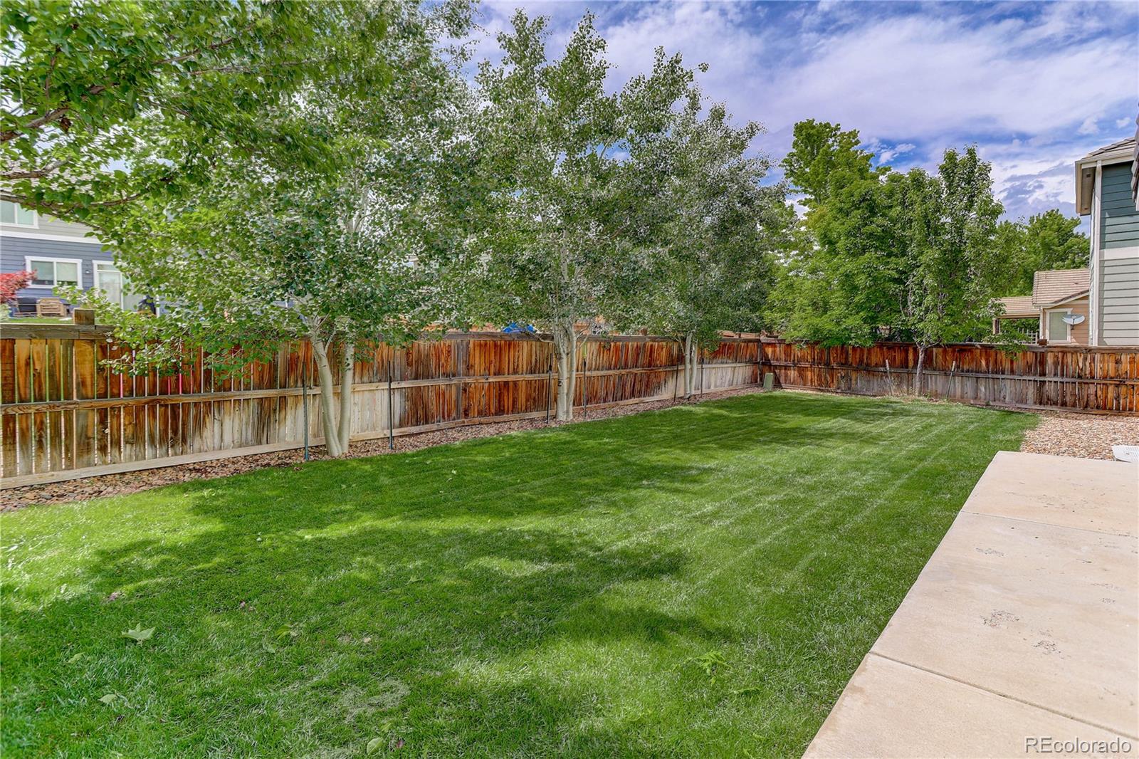 MLS Image #46 for 12231 s grass river trail,parker, Colorado