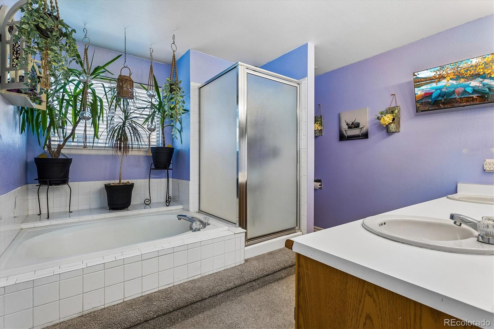 MLS Image #15 for 9383  weeping willow court,highlands ranch, Colorado