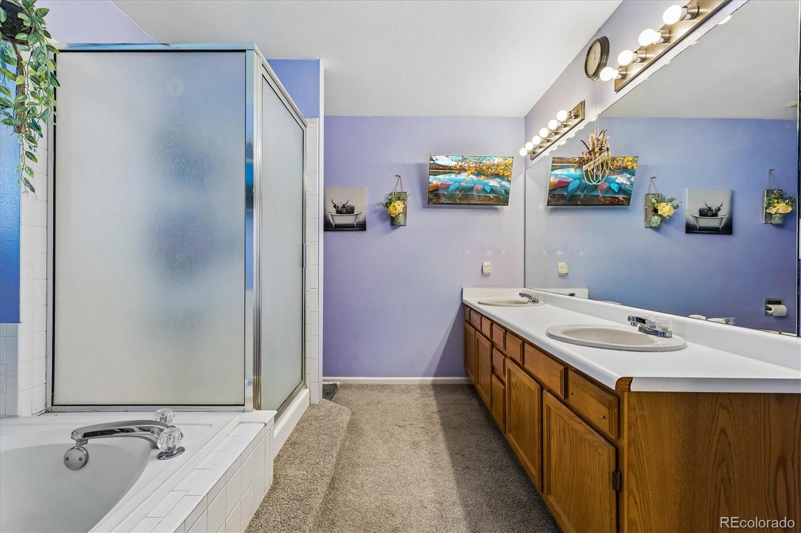 MLS Image #16 for 9383  weeping willow court,highlands ranch, Colorado