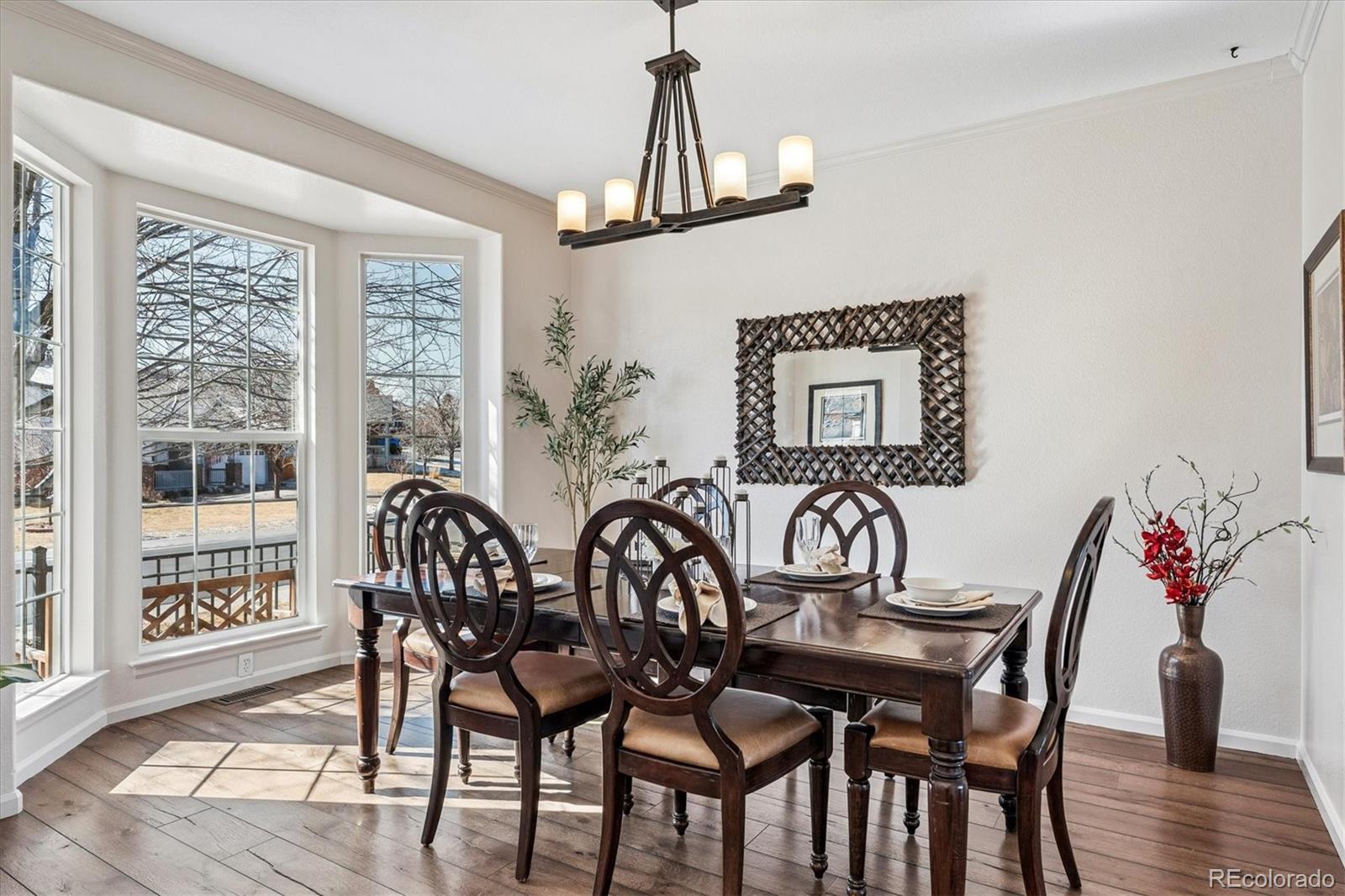 MLS Image #5 for 1763  granger circle,castle rock, Colorado