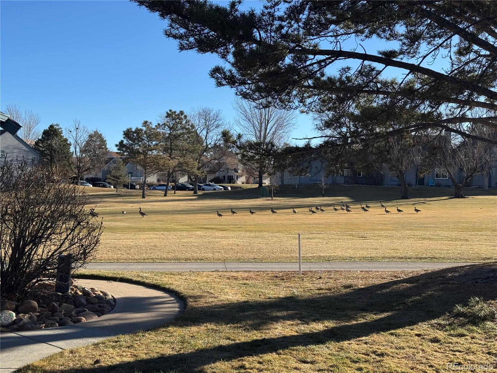 MLS Image #49 for 2448 s victor street,aurora, Colorado
