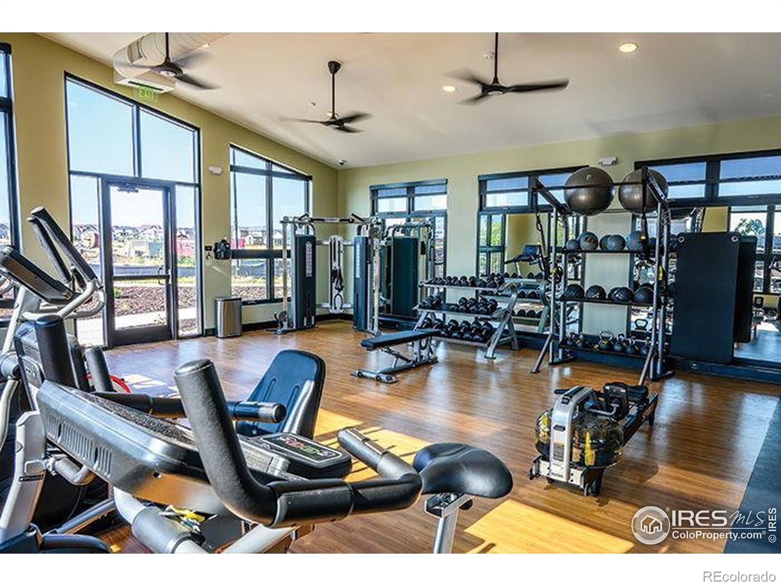 MLS Image #43 for 204  horizon avenue,erie, Colorado