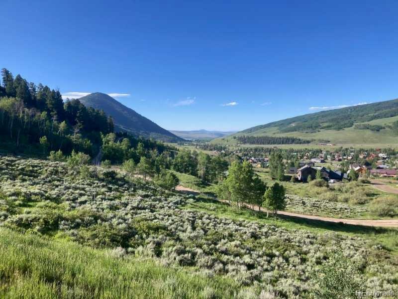 MLS Image #2 for 78  janet place,crested butte, Colorado
