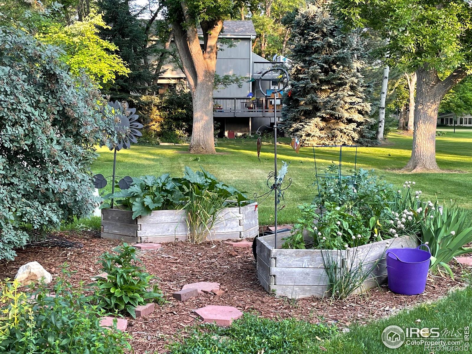 MLS Image #41 for 906  sailors reef ,fort collins, Colorado