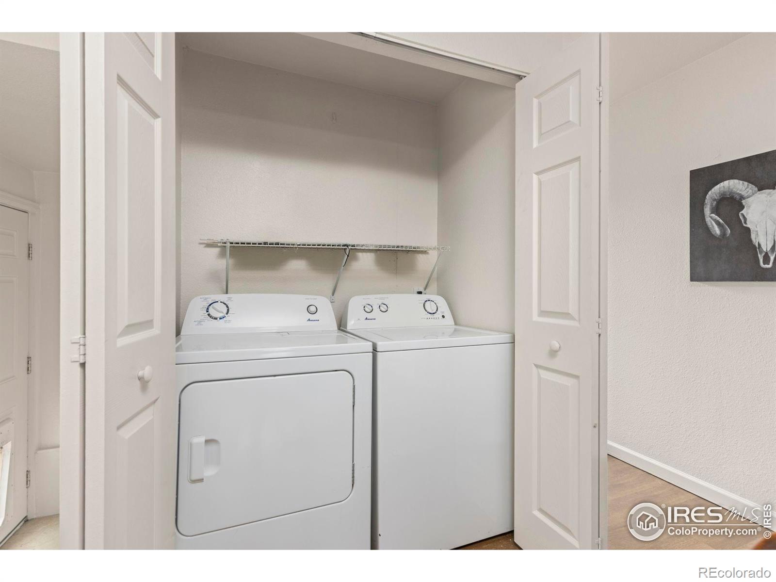 MLS Image #7 for 1312  washington avenue,loveland, Colorado