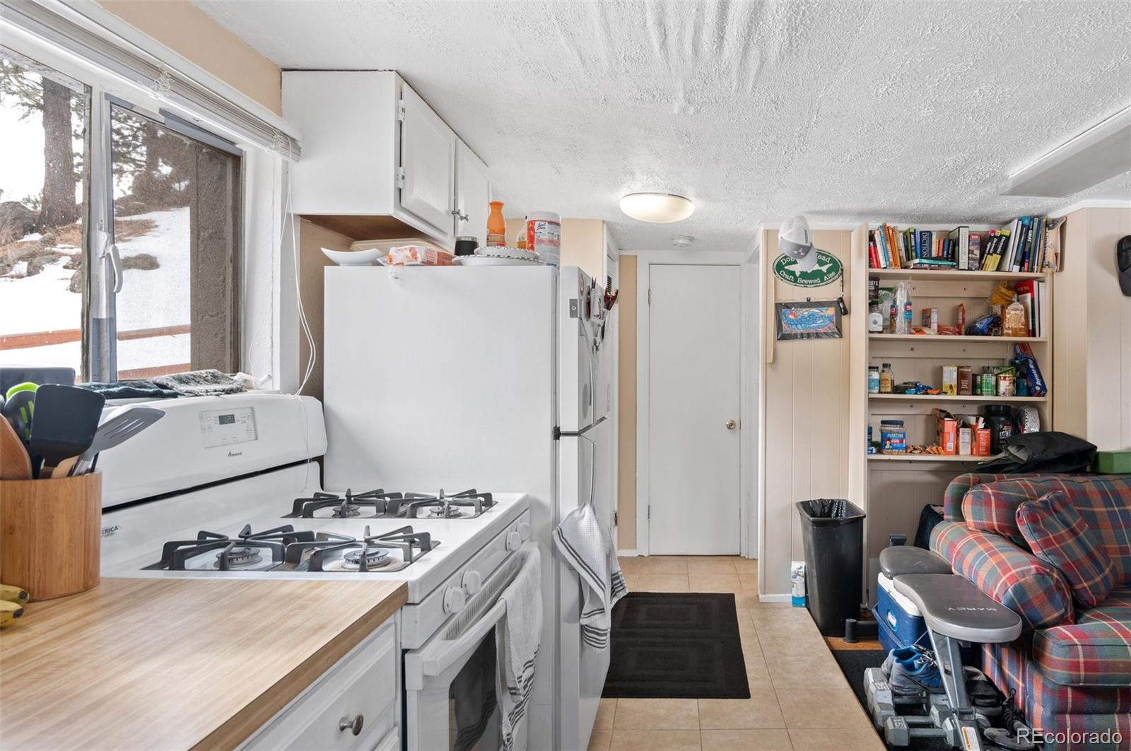 MLS Image #3 for 4997  camel heights road,evergreen, Colorado