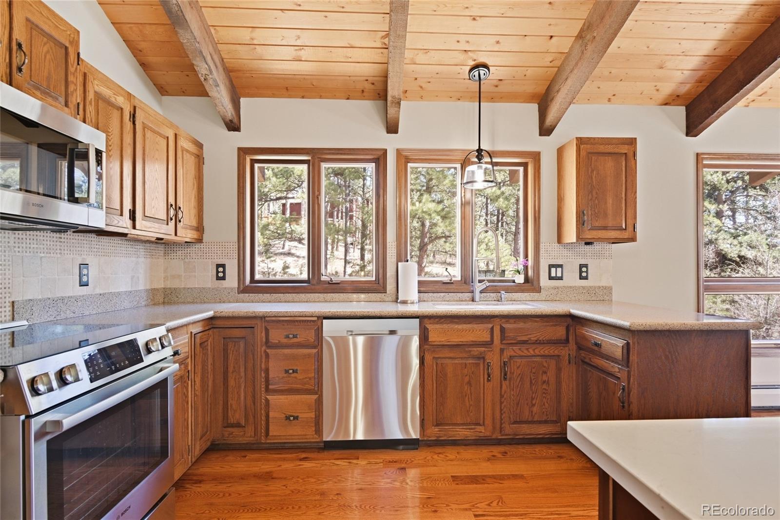 MLS Image #14 for 4068  histead way,evergreen, Colorado