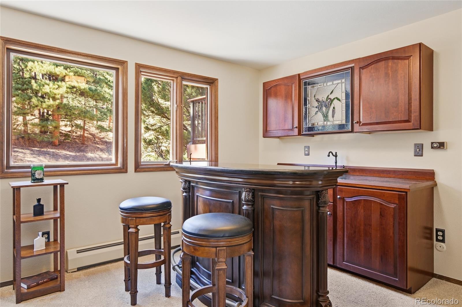 MLS Image #28 for 4068  histead way,evergreen, Colorado