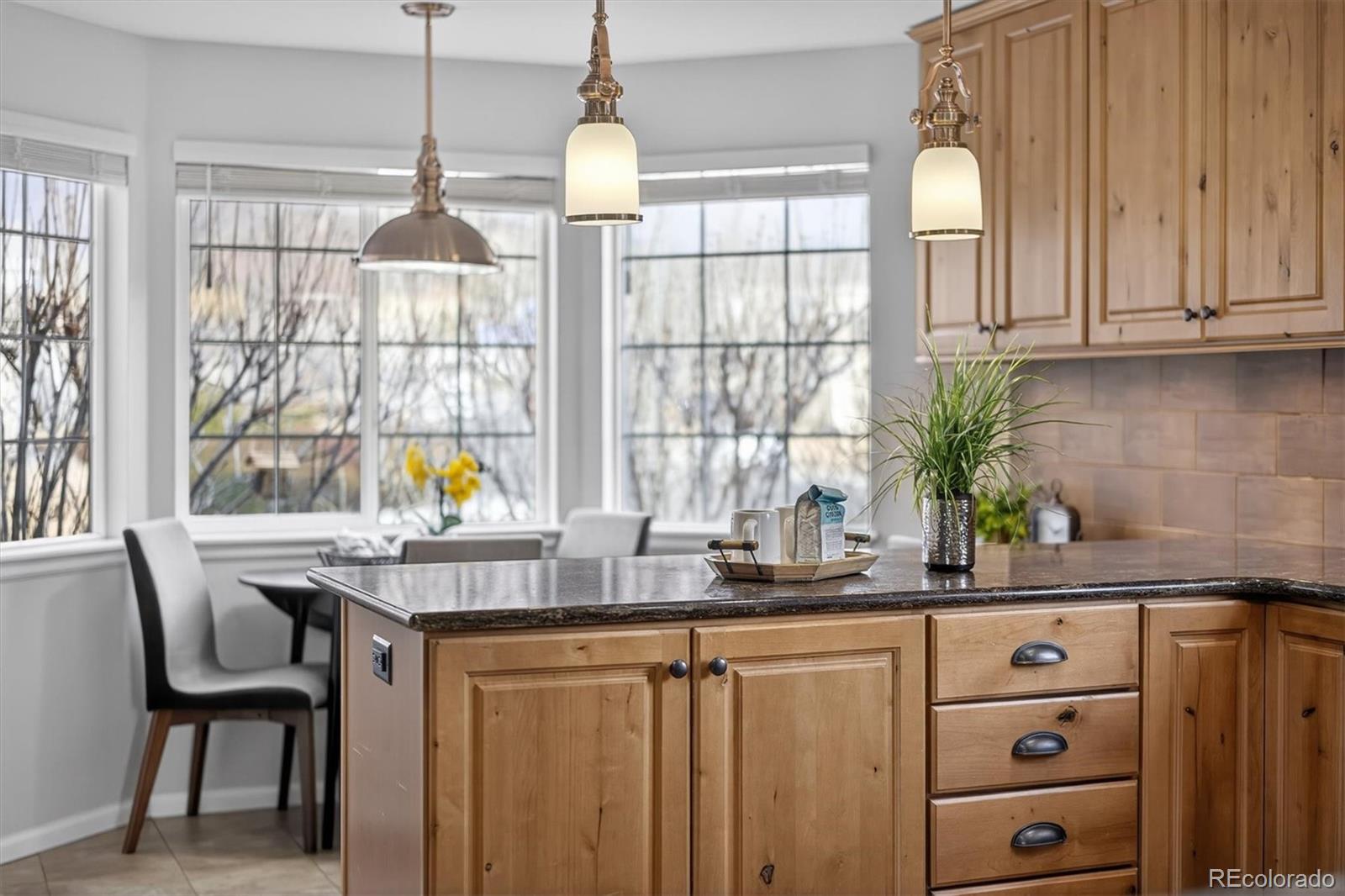 MLS Image #11 for 1090  quarterhorse trail,castle rock, Colorado