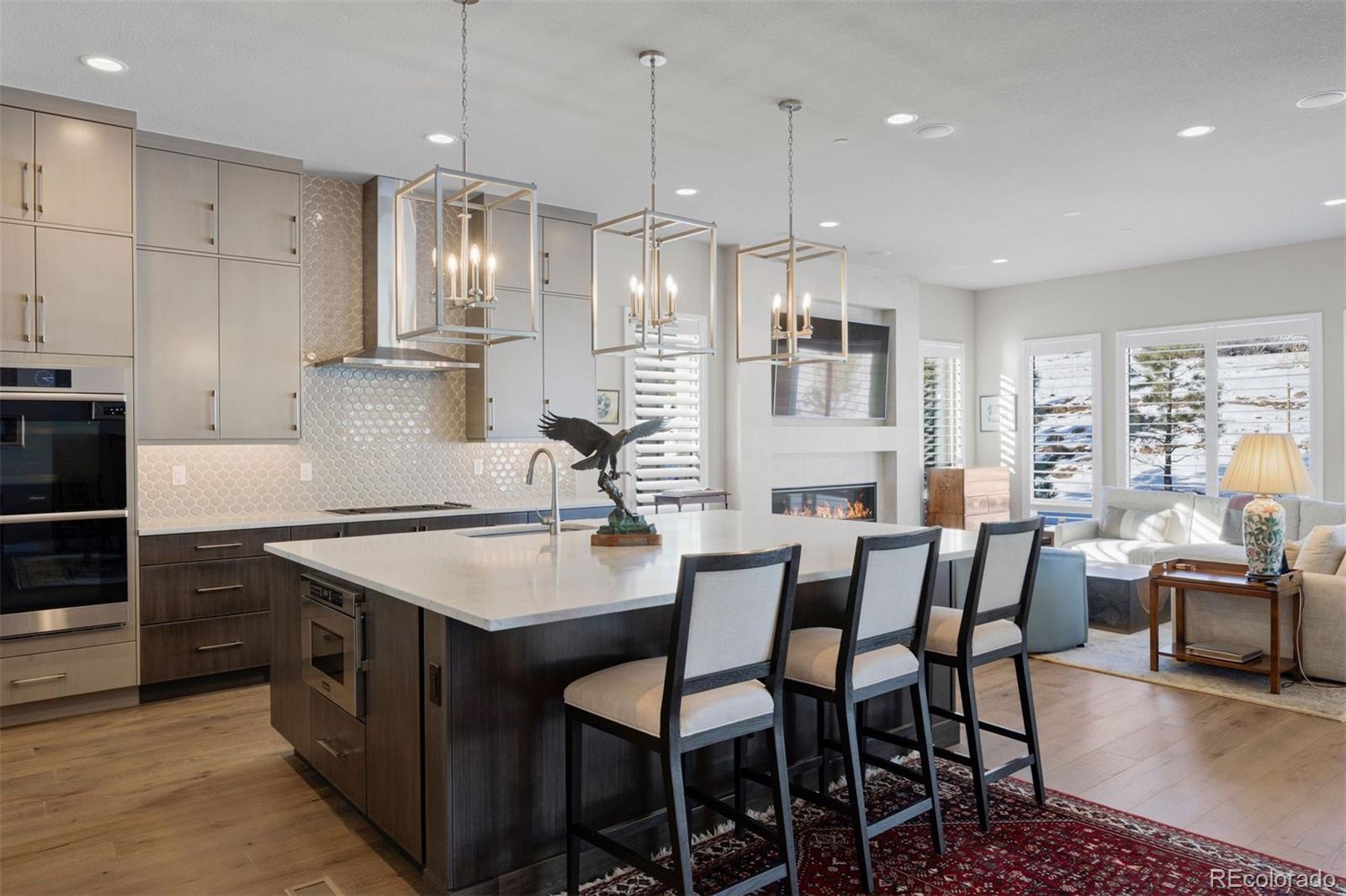 MLS Image #10 for 1173  lost elk circle,castle rock, Colorado