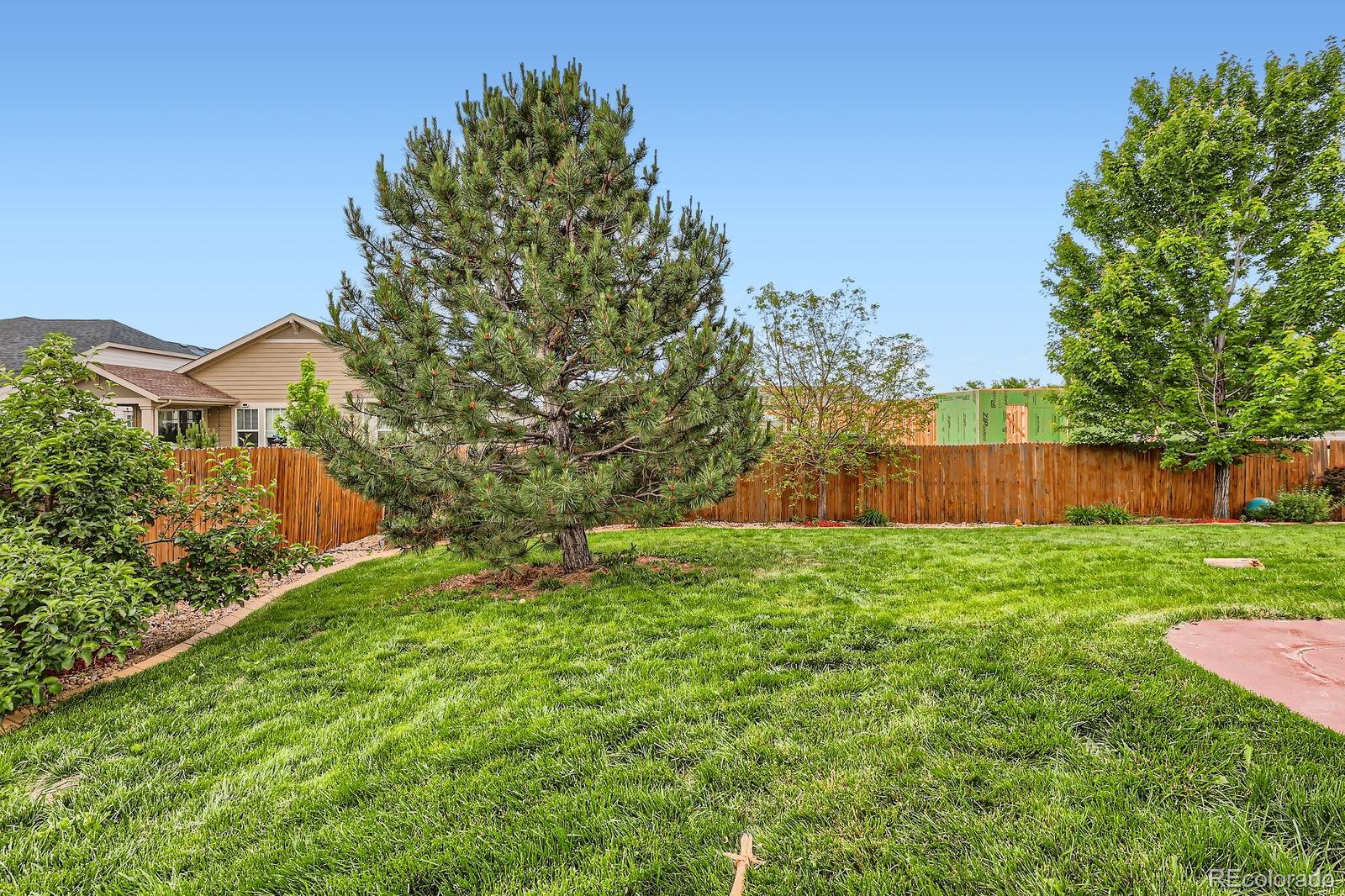 MLS Image #31 for 8522 s dudley street,littleton, Colorado