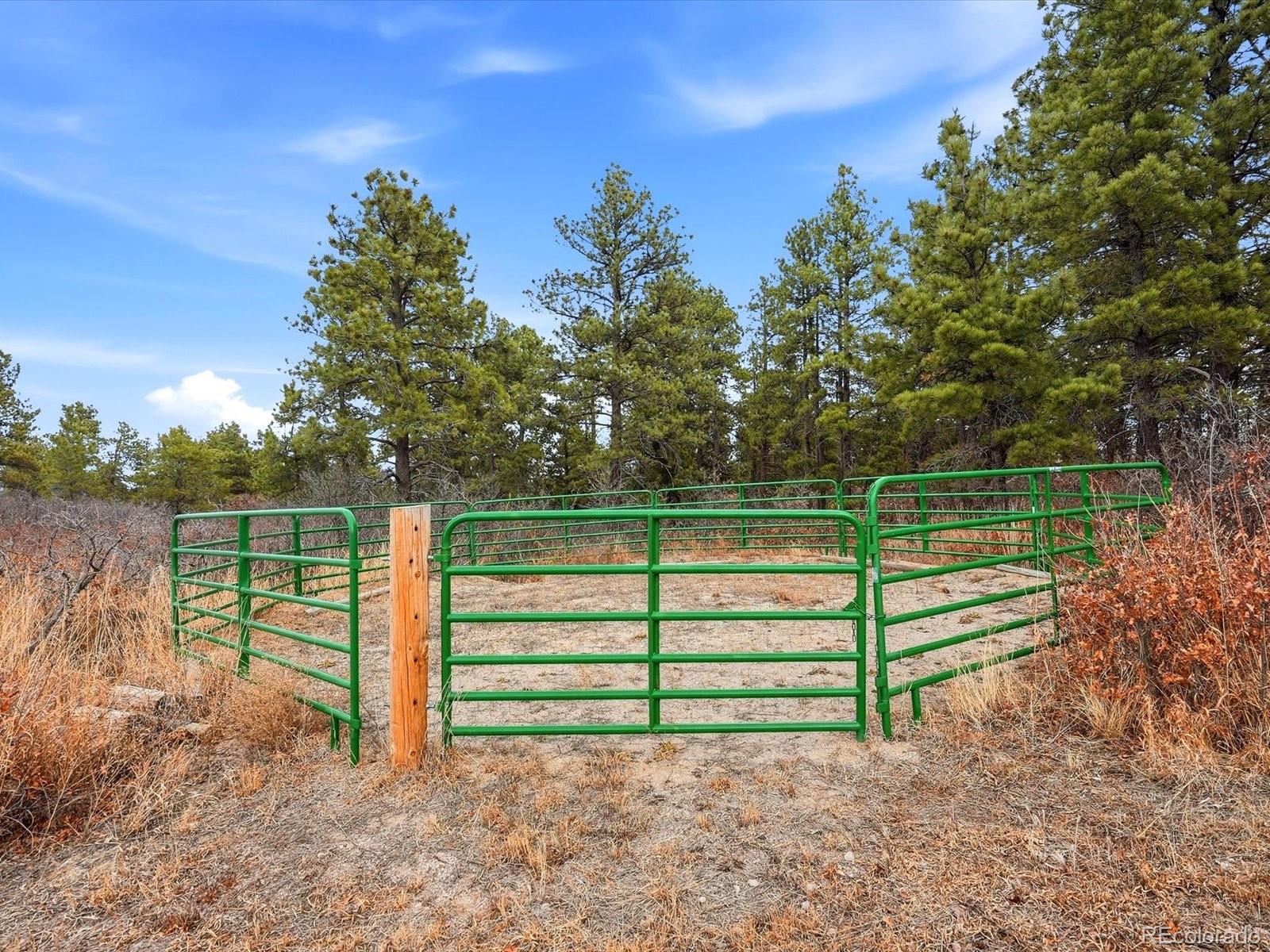 MLS Image #13 for 7750 e greenland road,franktown, Colorado