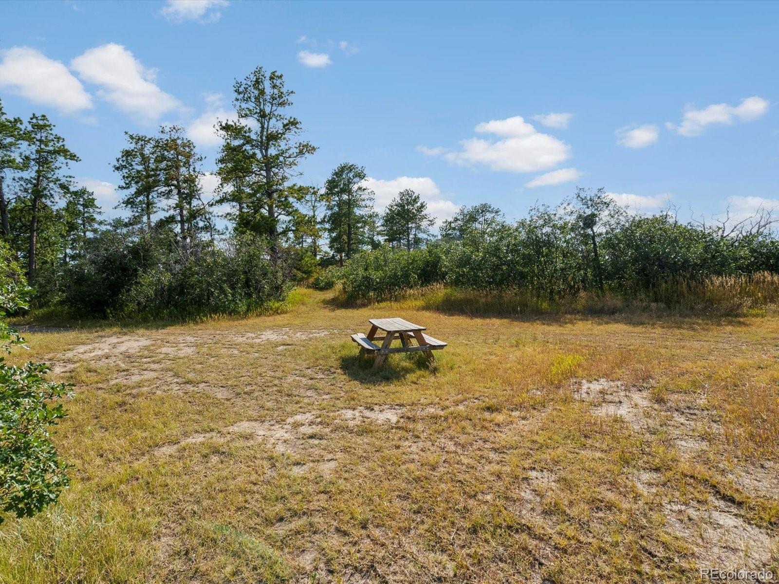 MLS Image #9 for 7750 e greenland road,franktown, Colorado