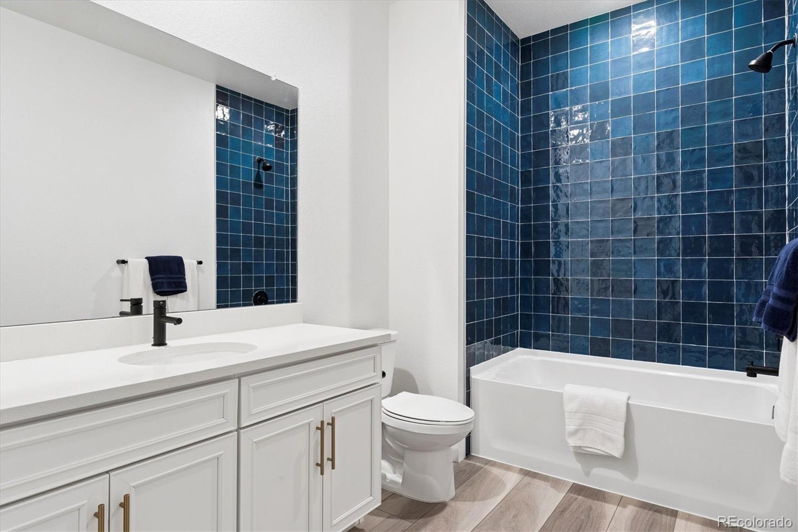 MLS Image #20 for 8507  hotchkiss loop,littleton, Colorado