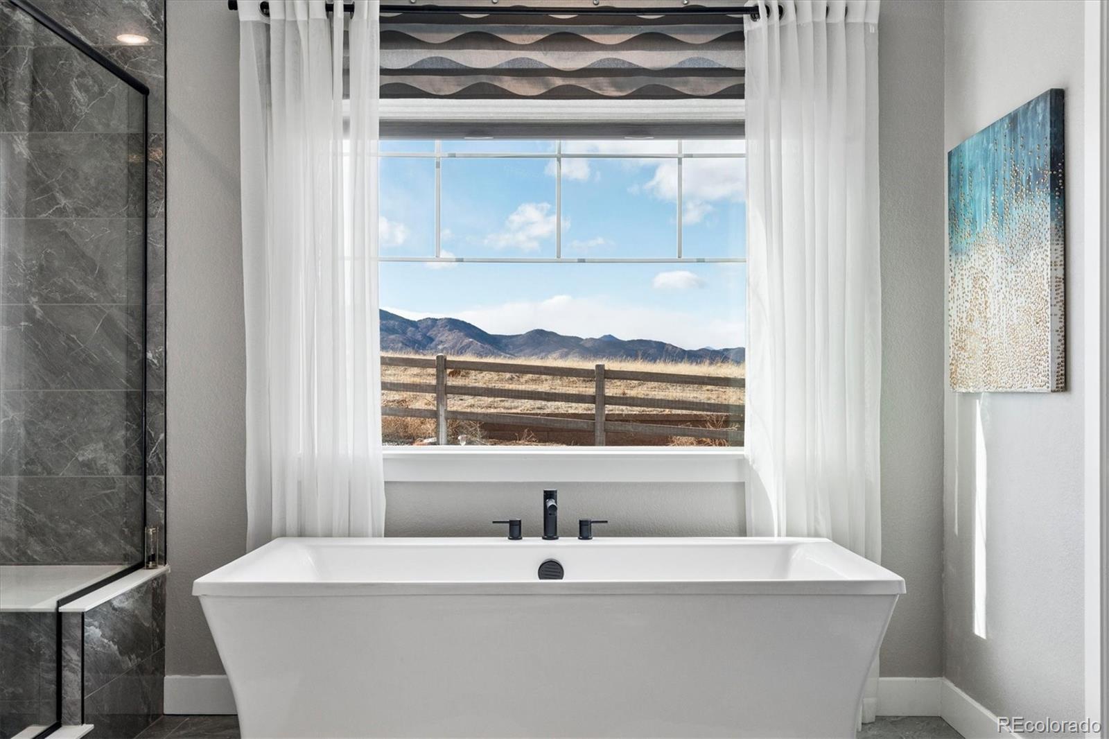 MLS Image #29 for 8507  hotchkiss loop,littleton, Colorado
