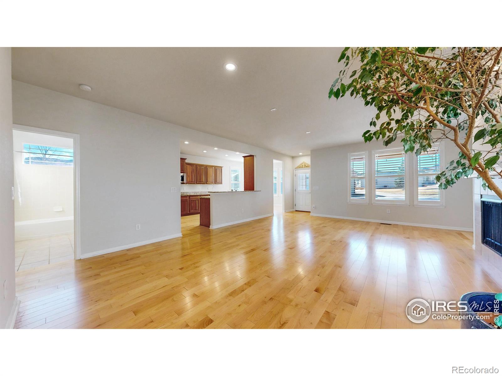 MLS Image #21 for 19814 w 56th place,golden, Colorado
