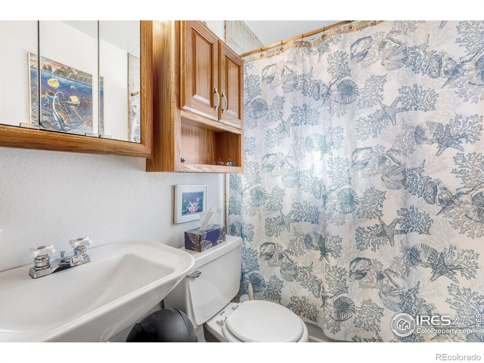 MLS Image #15 for 206 e union avenue,la salle, Colorado