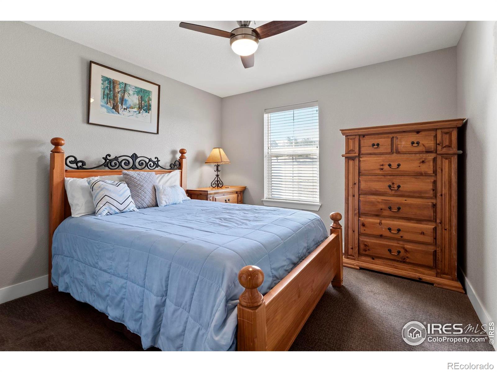 MLS Image #30 for 4796  mariana hills circle,loveland, Colorado
