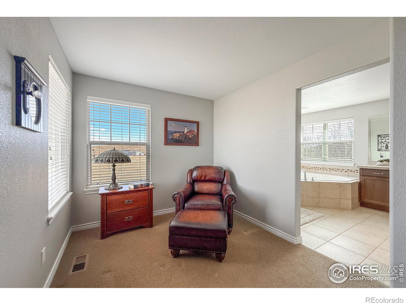 MLS Image #14 for 1033  zodo avenue,erie, Colorado