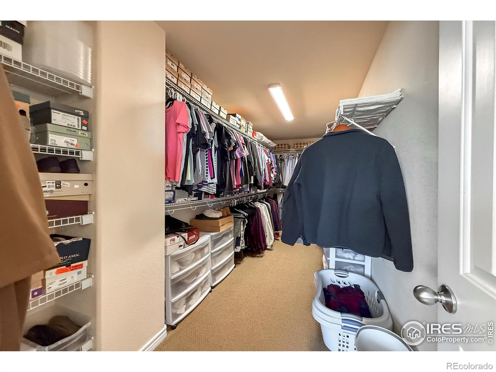 MLS Image #16 for 1033  zodo avenue,erie, Colorado
