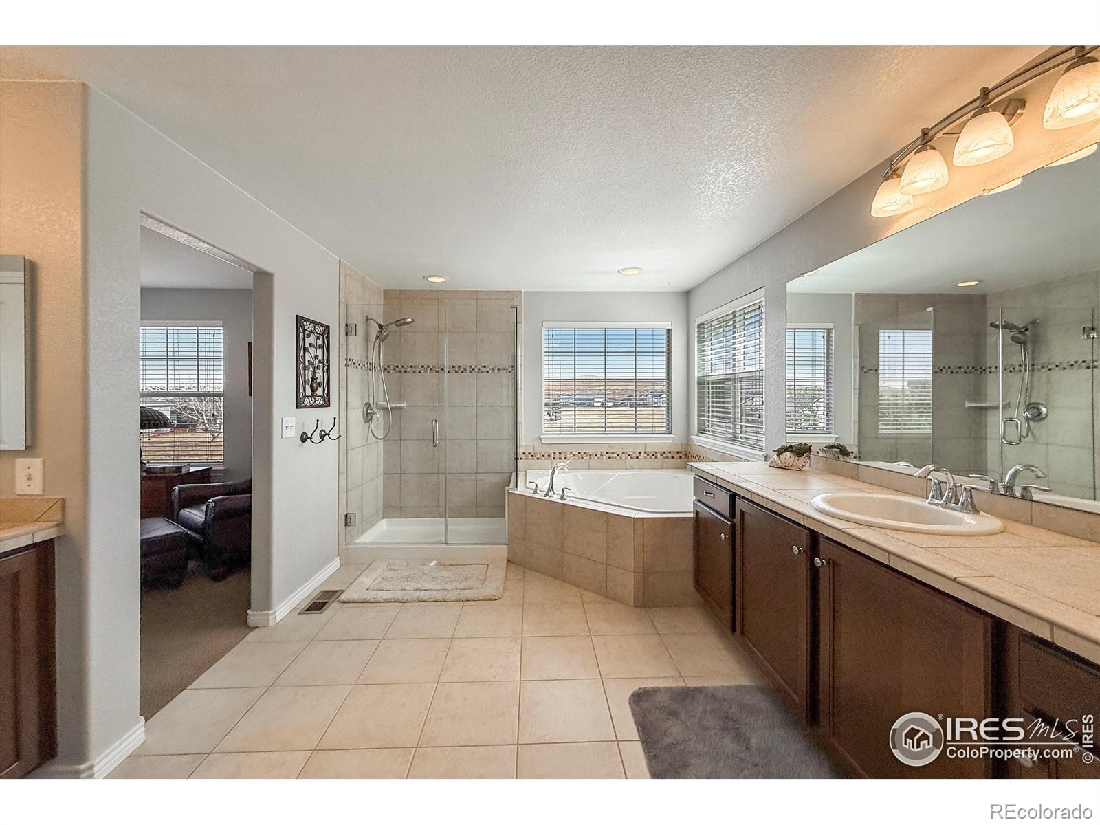 MLS Image #18 for 1033  zodo avenue,erie, Colorado