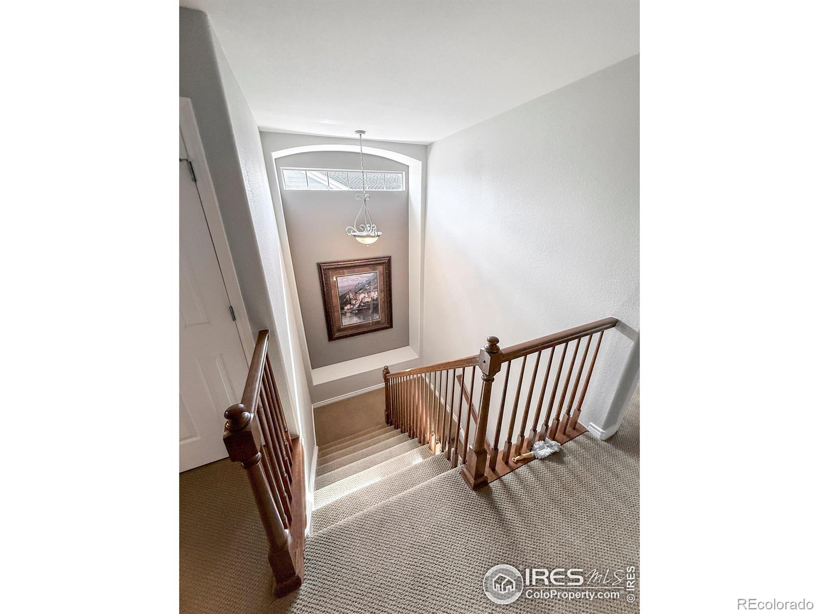 MLS Image #19 for 1033  zodo avenue,erie, Colorado