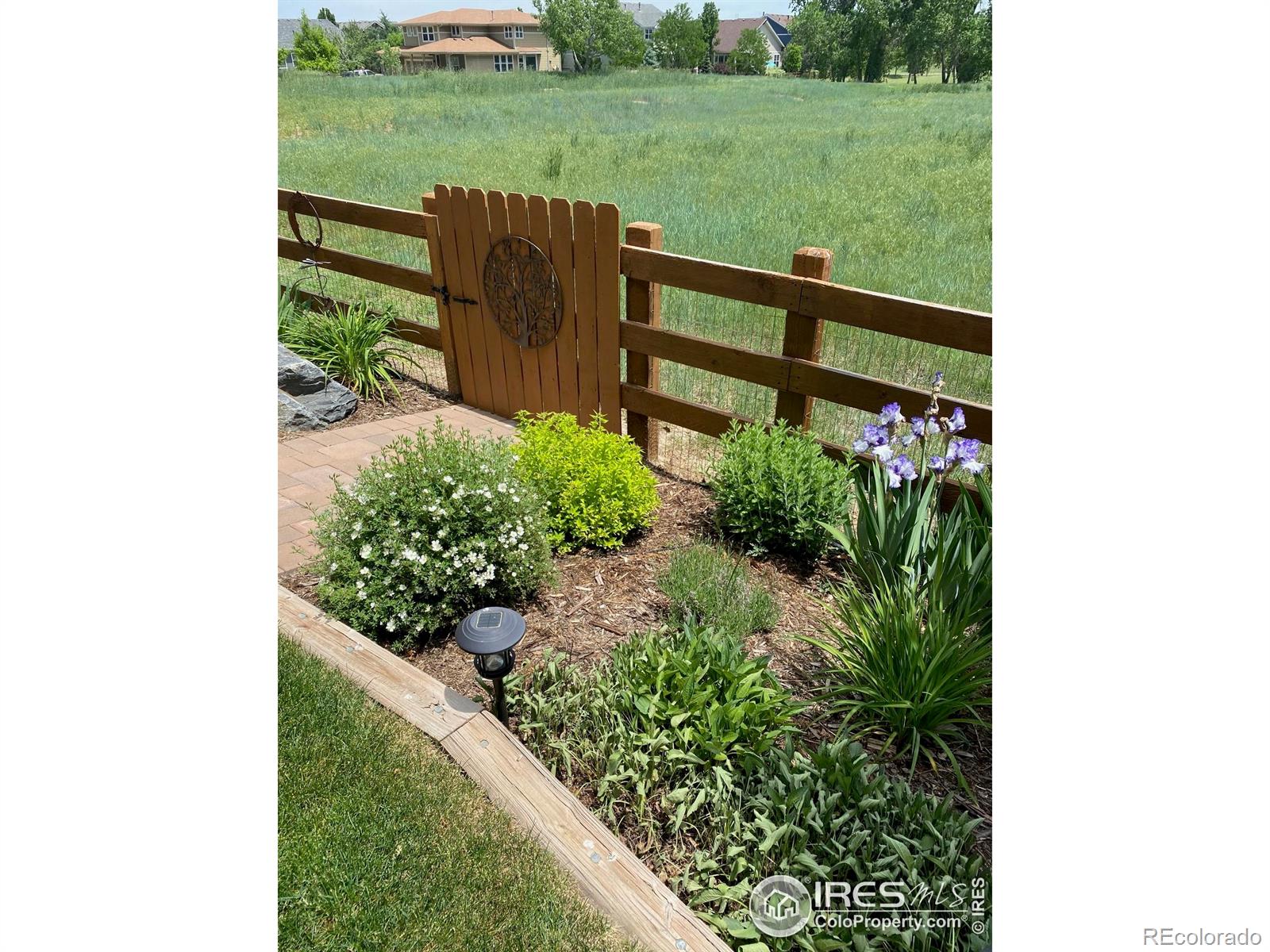 MLS Image #44 for 1033  zodo avenue,erie, Colorado